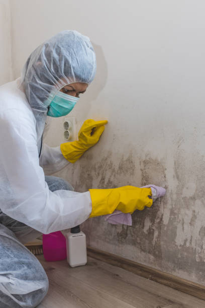 Best Post-Remediation Verification Testing  in Uniondale, NY